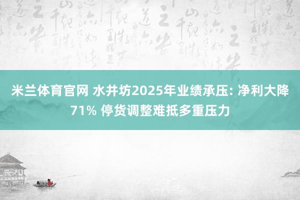 米兰体育官网 水井坊2025年业绩承压: 净利大降71% 停货调整难抵多重压力