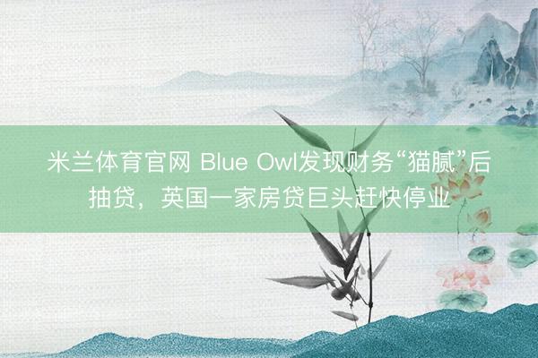 米兰体育官网 Blue Owl发现财务“猫腻”后抽贷,英国一家房贷巨头赶快停业