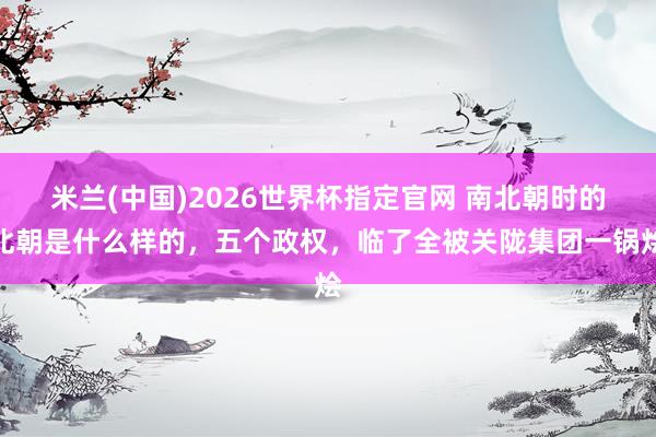 米兰(中国)2026世界杯指定官网 南北朝时的北朝是什么样的,五个政权,临了全被关陇集团一锅烩