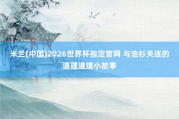 米兰(中国)2026世界杯指定官网 与池杉关连的道理道理小故事