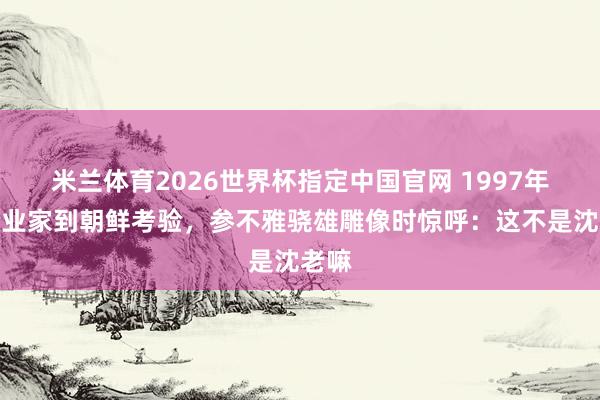 米兰体育2026世界杯指定中国官网 1997年一企业家到朝鲜考验,参不雅骁雄雕像时惊呼:这不是沈老嘛