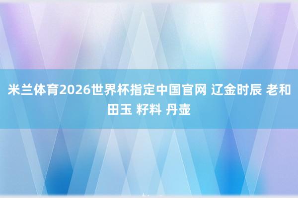 米兰体育2026世界杯指定中国官网 辽金时辰 老和田玉 籽料 丹壶