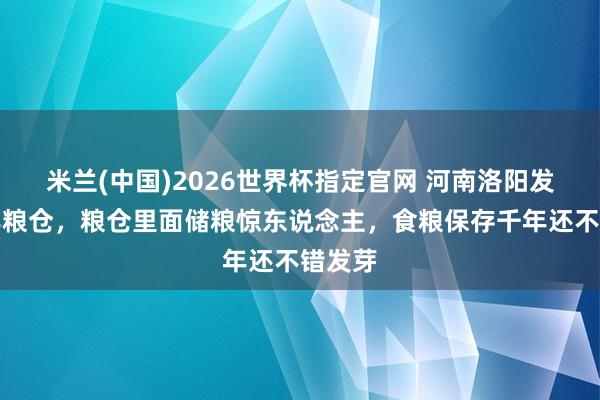 米兰(中国)2026世界杯指定官网 河南洛阳发现千年粮仓,粮仓里面储粮惊东说念主,食粮保存千年还不错发芽