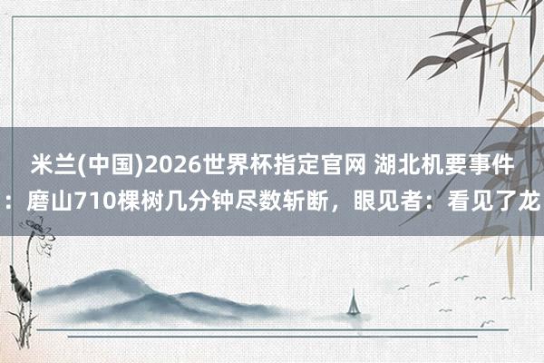 米兰(中国)2026世界杯指定官网 湖北机要事件:磨山710棵树几分钟尽数斩断,眼见者:看见了龙