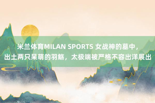 米兰体育MILAN SPORTS 女战神的墓中,出土两只呆萌的羽觞,太极端被严格不容出洋展出