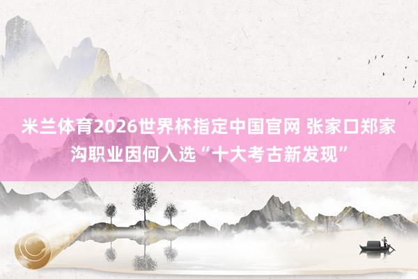 米兰体育2026世界杯指定中国官网 张家口郑家沟职业因何入选“十大考古新发现”