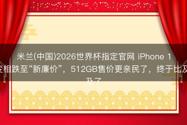 米兰(中国)2026世界杯指定官网 iPhone 17变相跌至“新廉价”,512GB售价更亲民了,终于比及了