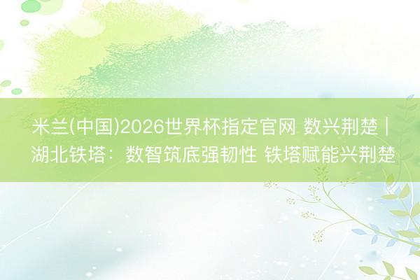 米兰(中国)2026世界杯指定官网 数兴荆楚 | 湖北铁塔:数智筑底强韧性 铁塔赋能兴荆楚