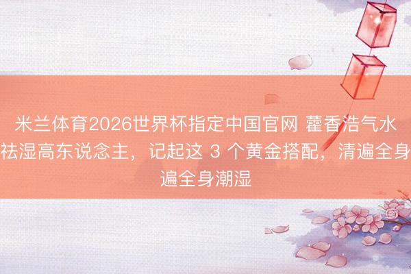 米兰体育2026世界杯指定中国官网 藿香浩气水才是祛湿高东说念主,记起这 3 个黄金搭配,清遍全身潮湿