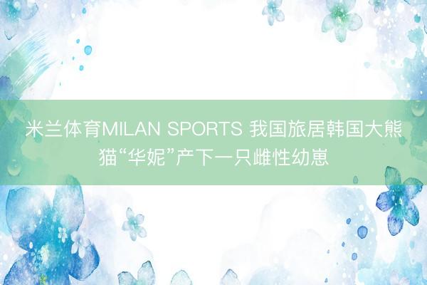 米兰体育MILAN SPORTS 我国旅居韩国大熊猫“华妮”产下一只雌性幼崽