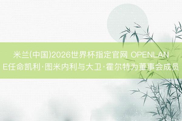 米兰(中国)2026世界杯指定官网 OPENLANE任命凯利·图米内利与大卫·霍尔特为董事会成员