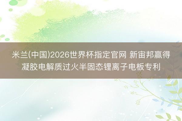 米兰(中国)2026世界杯指定官网 新宙邦赢得凝胶电解质过火半固态锂离子电板专利