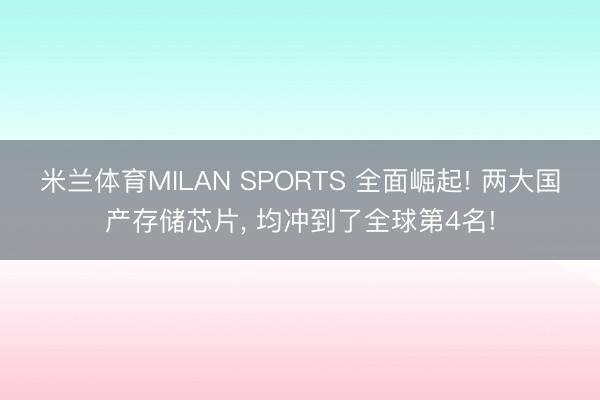 米兰体育MILAN SPORTS 全面崛起! 两大国产存储芯片, 均冲到了全球第4名!